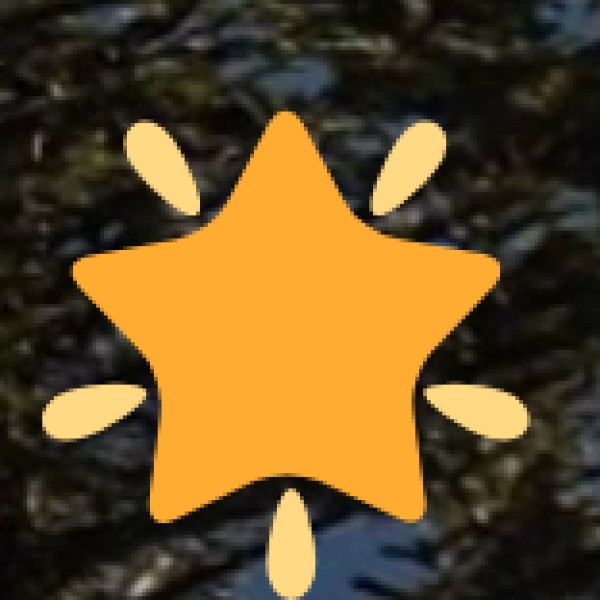 Dokra Metal Crafts – Telangana’s Tribal Treasure