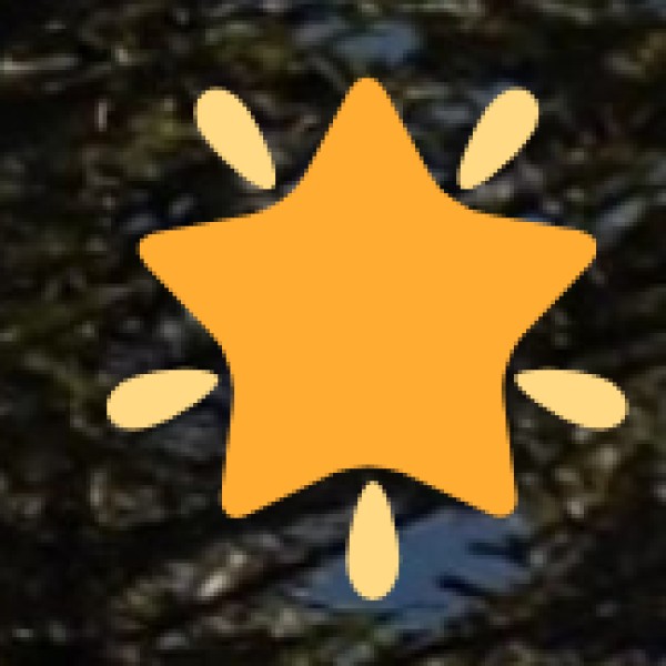 Handicrafts & Shopping in Jammu & Kashmir