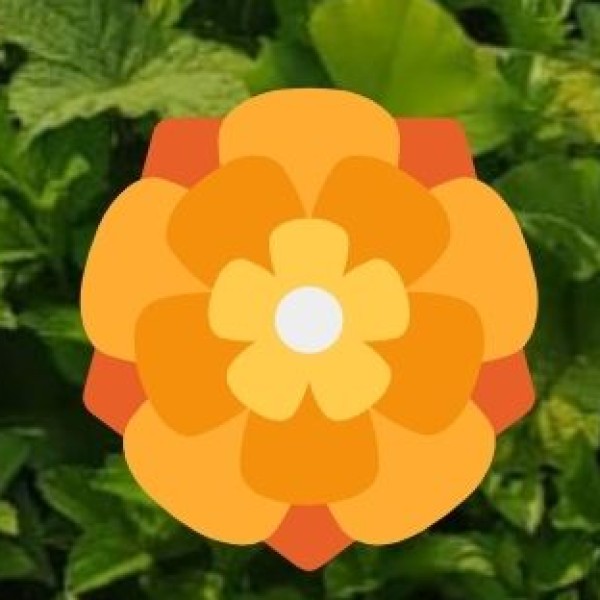 Why Meghalaya’s Handicrafts & Souvenirs Are Special?