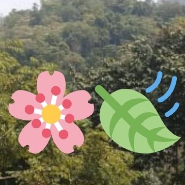 Handwoven Tribal Textiles & Shawls