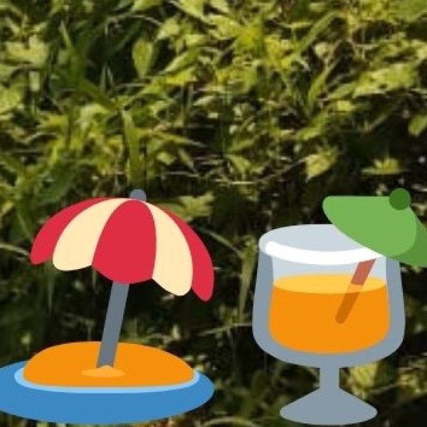 Buy Authentic Spices