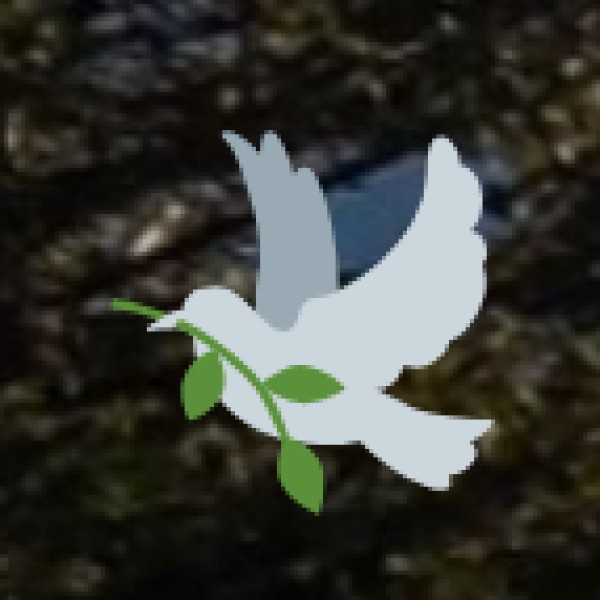 Best Souvenirs to Buy from Himachal Pradesh