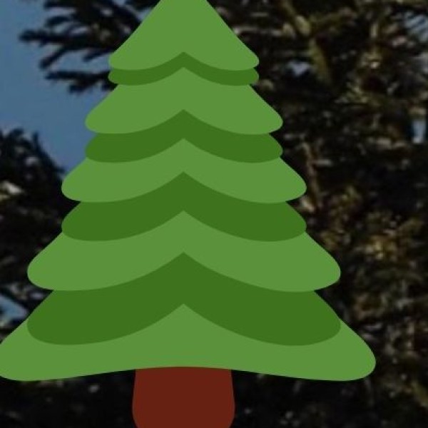 Bamboo & Cane Handicrafts