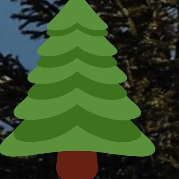 Best Souvenirs to Buy