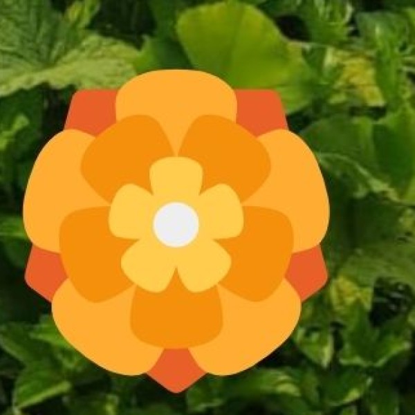 Prayer Flags & Prayer Wheels – Symbols of Peace & Positivity