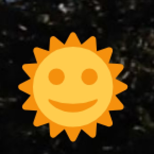 Festivals and Craft Fairs