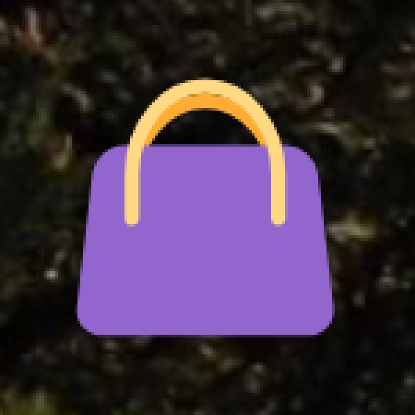 Best Shopping Places in Madhya Pradesh