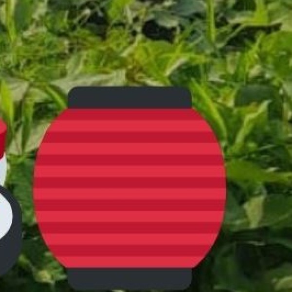 Shopping Tips for Ladakh