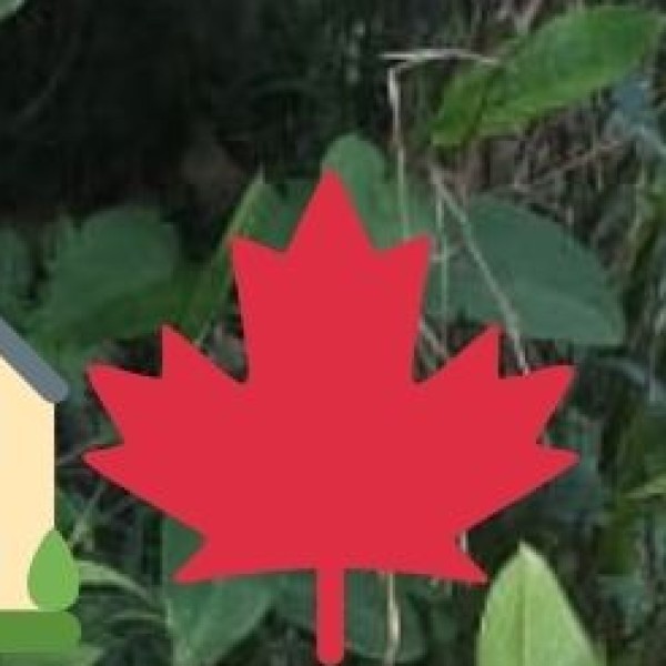 Local Handwoven Bags & Accessories – Fashion with a Sikkimese Touch