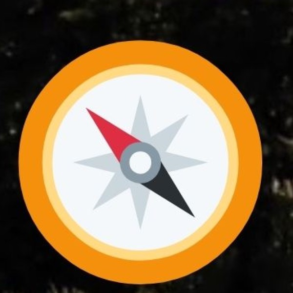 Gond Paintings – Tribal Art at Its Finest