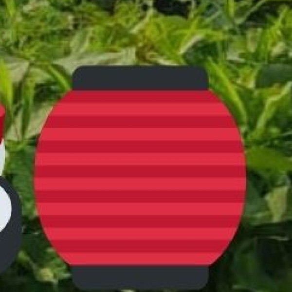 Craft Fairs & Exhibitions