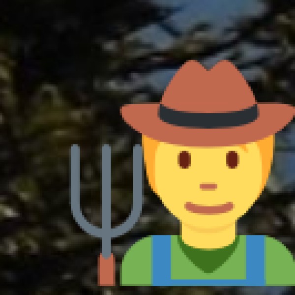 Paharganj – Best for Leather Goods & Budget Souvenirs