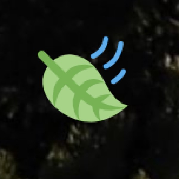 Bagh Print Fabrics – Traditional Hand-Block Printing