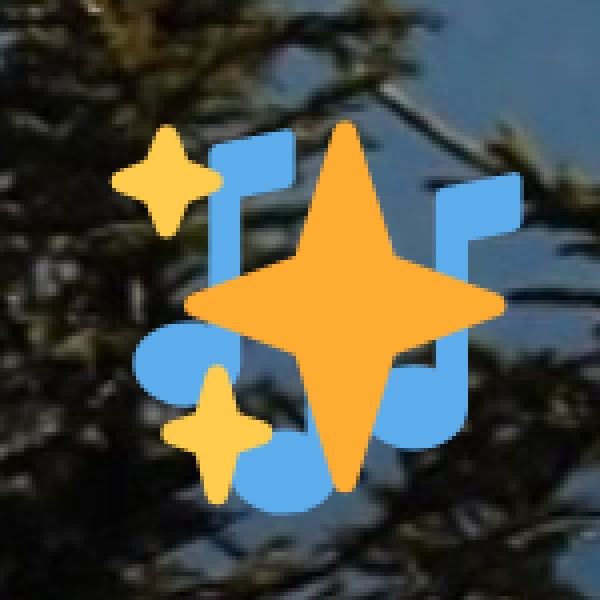 Traditional Naga Musical Instruments