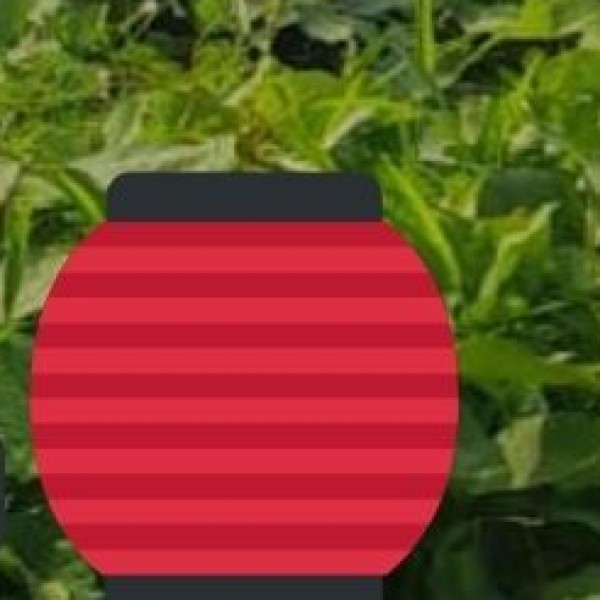 Famous Handicrafts of Maharashtra