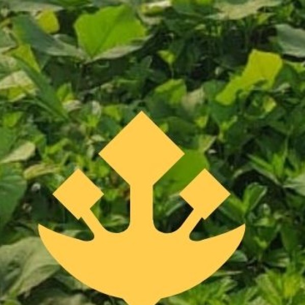 Traditional Weapons & War Shields