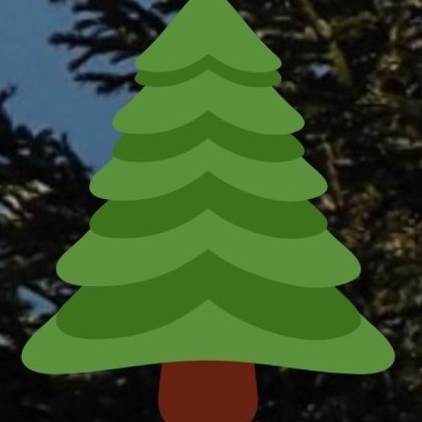 Himalayan Spices & Organic Honey – A Taste of the Mountains