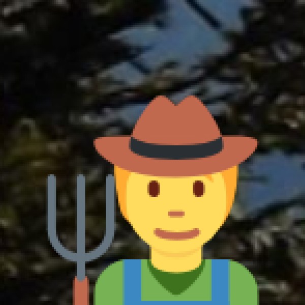 Wood Carvings & Warrior Artifacts