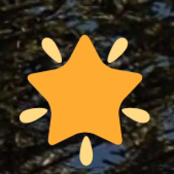 Thangka Paintings – Traditional Buddhist Art