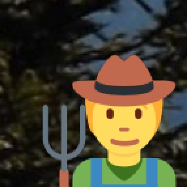 3. Rich Tribal Culture & Handicrafts