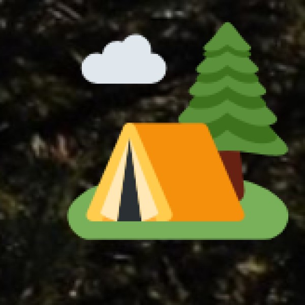 Organic Tea & Wild Honey