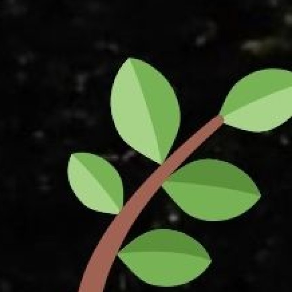 Dry Fruits & Local Ladakhi Tea