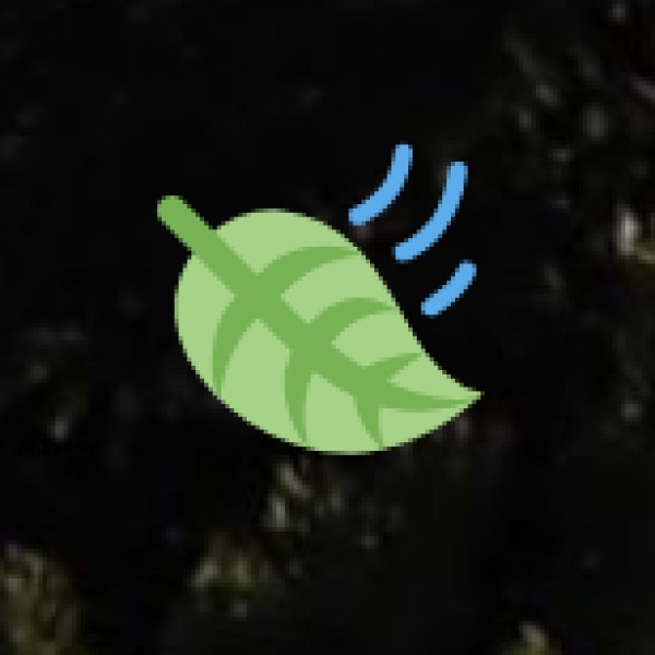 Bamboo Flutes & Indigenous Musical Instruments