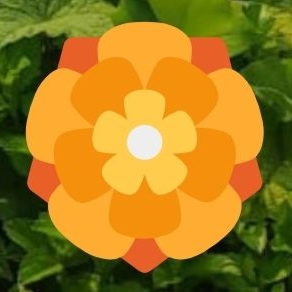 Other Notable Crafts