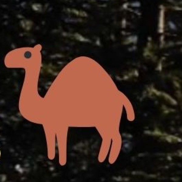 Jaisalmer – The Golden City’s Desert Souvenirs