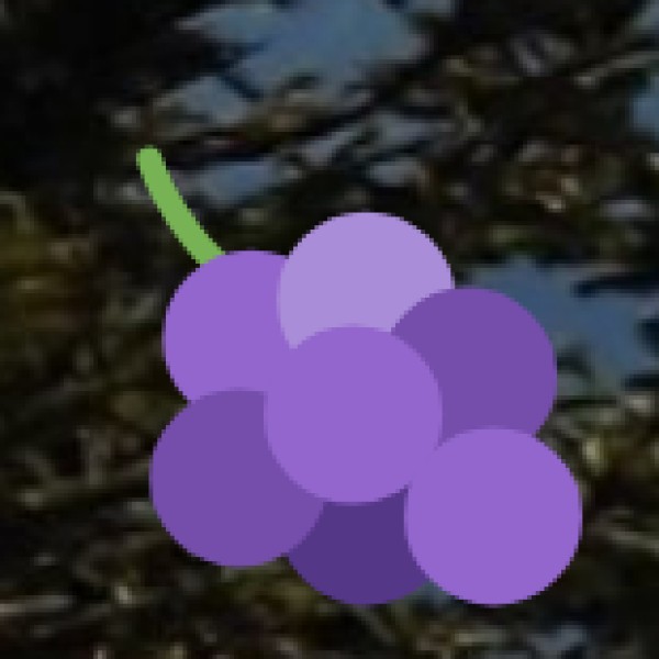 Apricot Products & Organic Goods