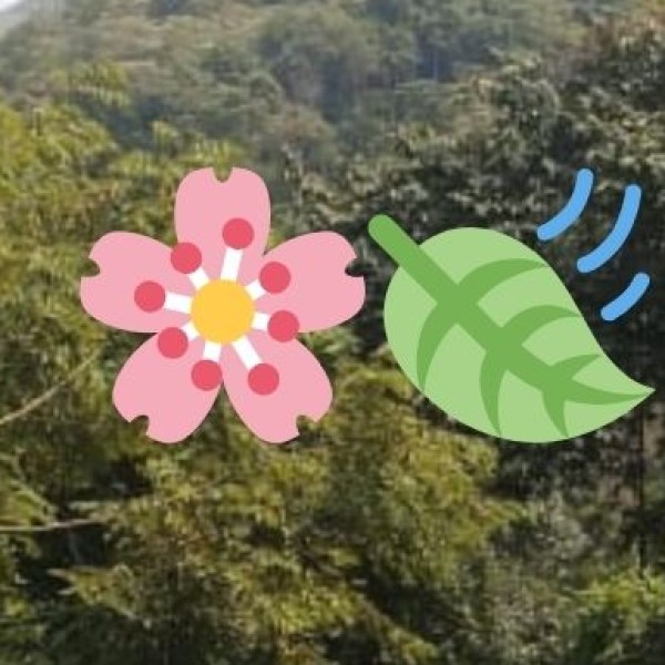 Unique Shopping Experiences