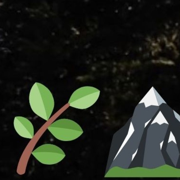 Sikkimese Tea – World-Class Organic Tea