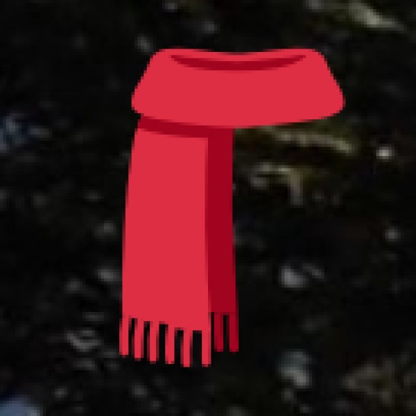 Patan – The Home of Patola Silk Sarees