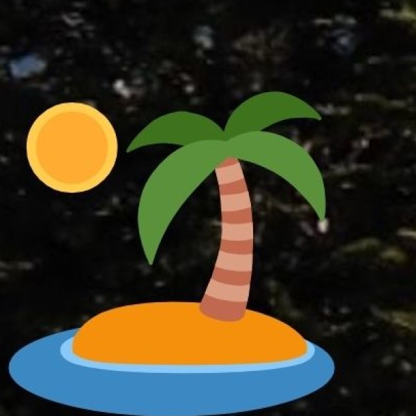 Palm Leaf Products – Traditional & Eco-Friendly