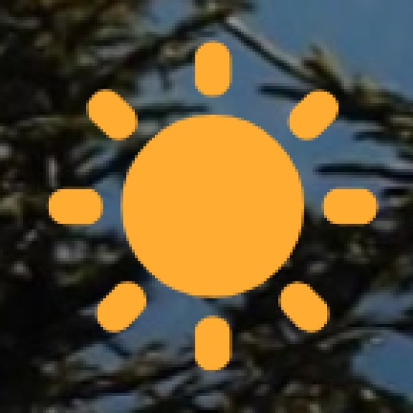 Bastar Iron Craft – Unique Tribal Metalwork