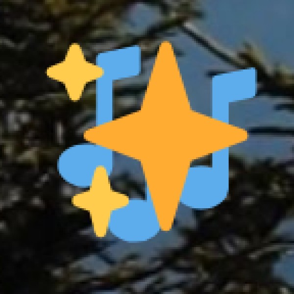 Suf and Rabari Embroidery