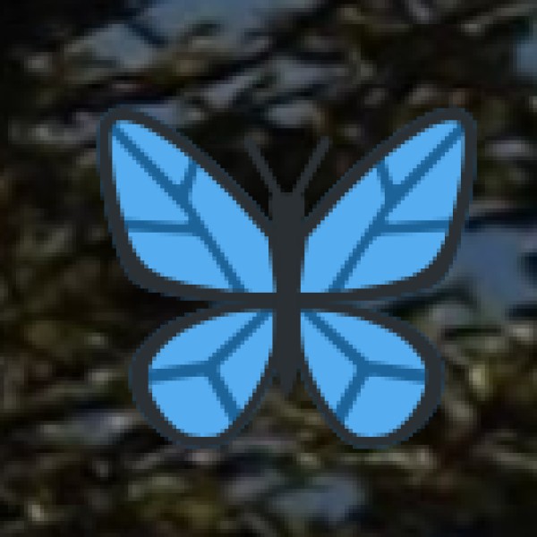 Handwoven Naga Shawls & Textiles