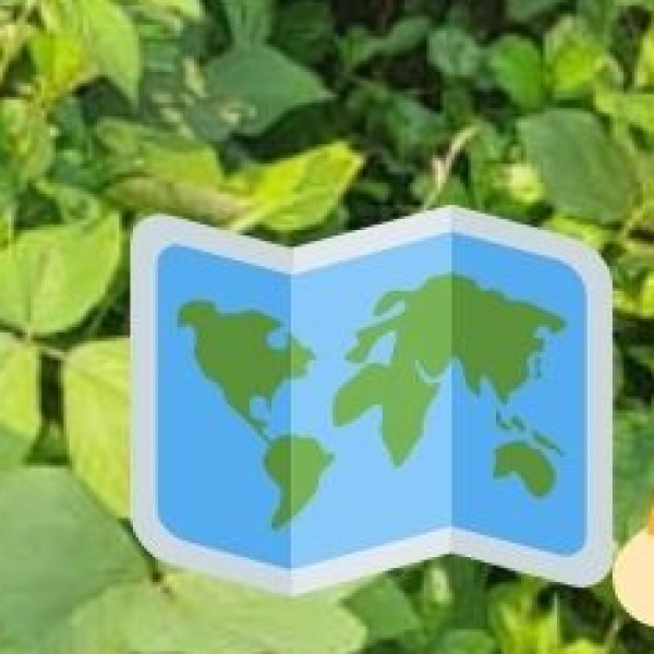 Best Shopping Destinations