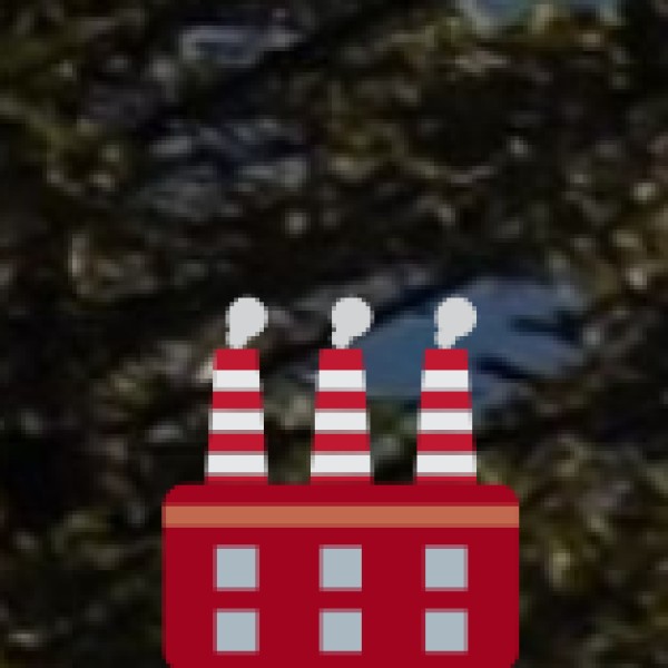 Wood Carvings – Exquisite Craftsmanship