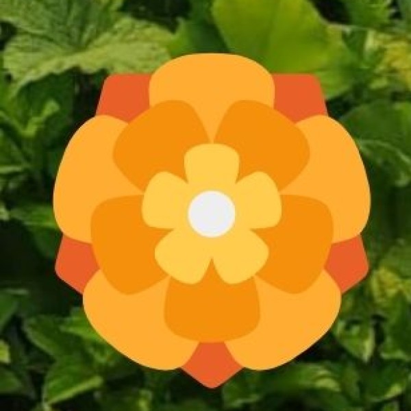 Take a Piece of Odisha Home!