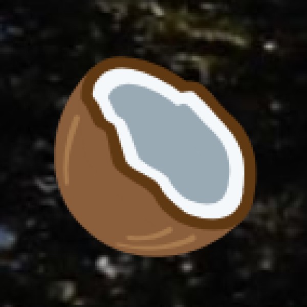 Best Souvenirs to Buy in Lakshadweep