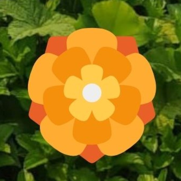 Key Shopping Destinations in Uttarakhand