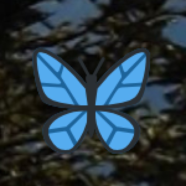 Tribal Tourism Experiences in Kerala