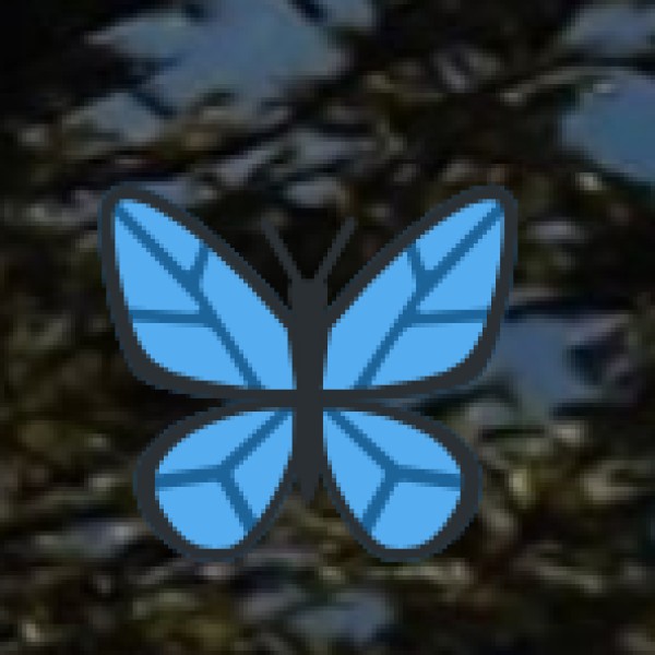 Kanker – Home to Gonds & Halbas