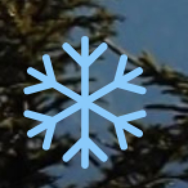 Challenges Faced by Tribal Communities