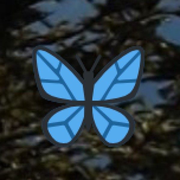 Traditional Tribal Cuisine Tasting