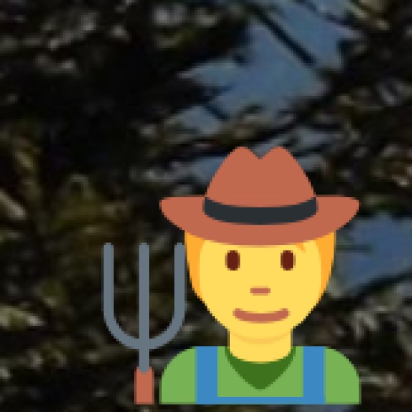 • Homestays and Village Life: