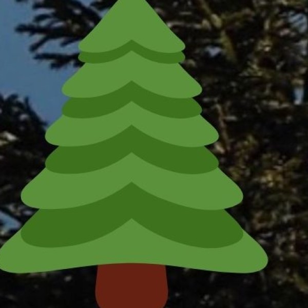 How can travelers contribute to conservation?