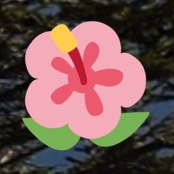 Unique Experiences (Non-Tribal but Culturally Rich)