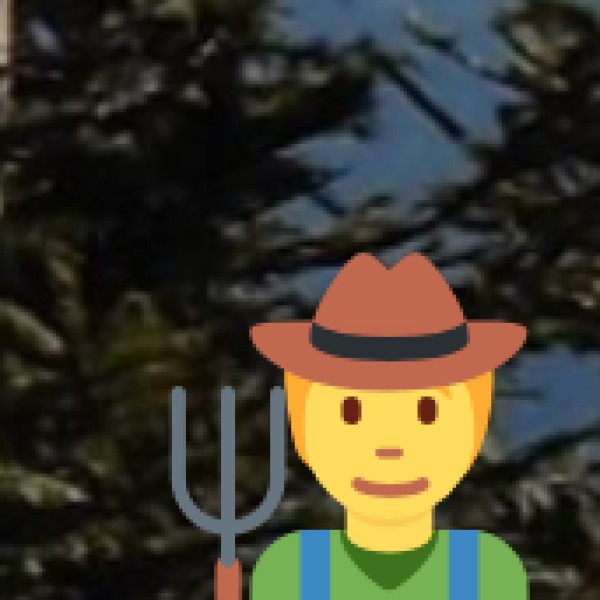 Tribal Tourism & Unique Experiences